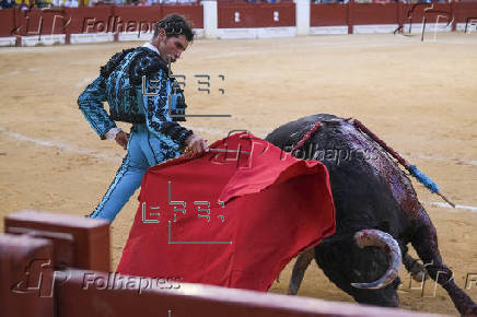 TOROS HOGUERAS ALICANTE