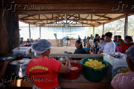 Illegal loggers are key players in carbon credit schemes in Brazil