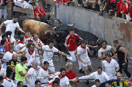 Los toros de La Palmosilla protagonizan este domingo el séptimo encierro de San Fermín