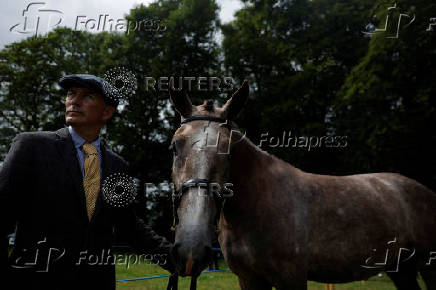 Agricultural show, in Athenry