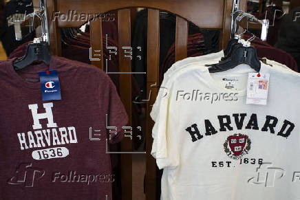 Harvard University Campus in Cambridge Massachusetts