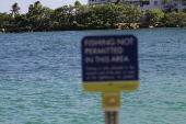 Ponto do píer da praia sul.