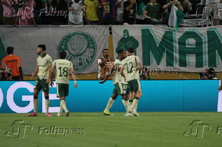 Inter miami fc vs palmeiras :fifa club world cup.