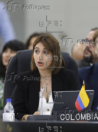 Primera sesión plenaria de la 55ª Asamblea General de la OEA