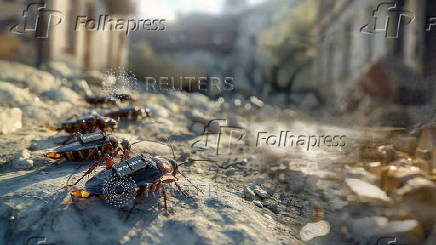 A digital illustration released by Swarm Biotactics shows what they describe as cyborg cockroaches