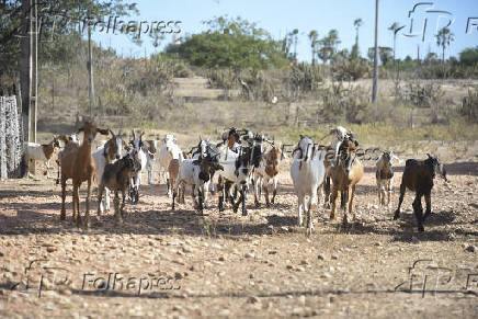 Agropecuaria
