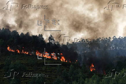 Forest fire in Portugal