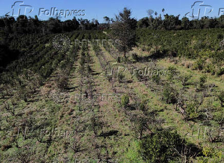 Gold mining boom in Paraguay pits farmers against pollution