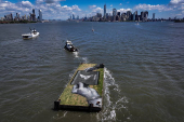Drone view shows a grass covered barge with painting by Franco-Swiss artist Saype entitled 