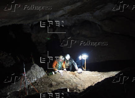 Los humanos ya fabricaban herramientas con huesos de ballena hace 20.000 años