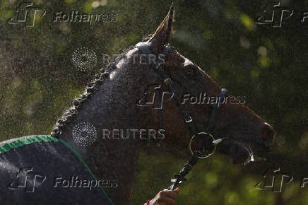 Royal Ascot 2025