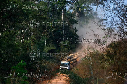 Illegal loggers are key players in carbon credit schemes in Brazil