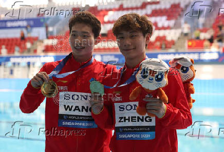 World Aquatics Championships