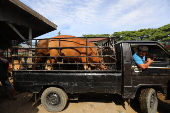 Eid al-Adha preparations in Aceh