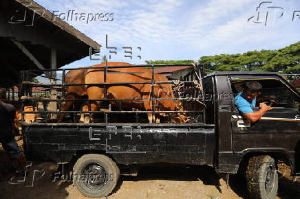 Eid al-Adha preparations in Aceh