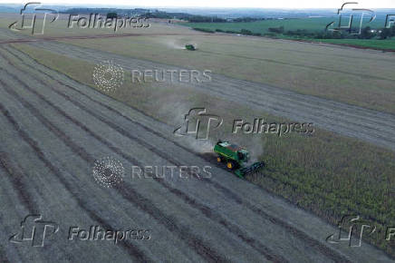FILE PHOTO: Soybean harvest on a farm in Maringa