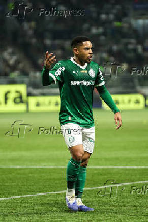 SAO PAULO, SP, 26.07.2025-BRASILEIRO SERIE A-PALMEIRAS (SP) X GREMIO (RS)