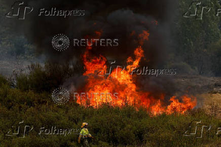 Wildfire on the outskirts of Abejera de Tabara