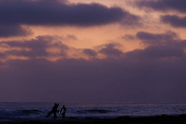 Surfers make their way out of the ocean in California