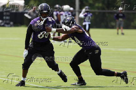 NFL: Baltimore Ravens Minicamp