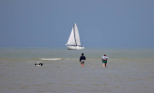 People walk through the sea with their dog in front of a sailing boat on the beach at Gravelines, France
