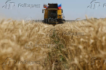 Farmers harvest wheat in Luhansk Region