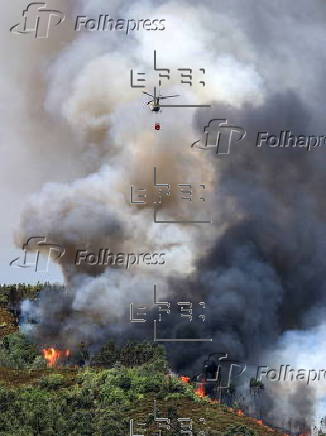 Forest fire in Portugal