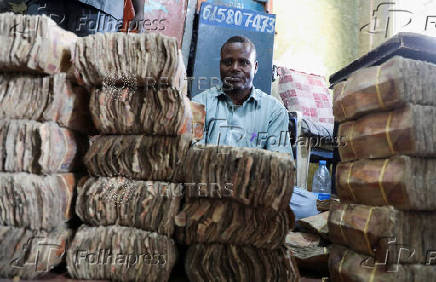 Trump on Somali immigrants: 