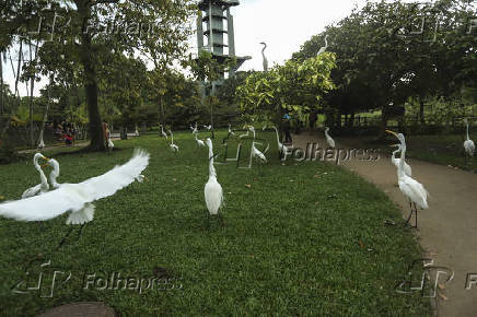Mangal das Garças em Belém (PA)