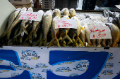Santa Feira do Peixe no Ceagesp