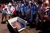 People watch and take photos with their mobile phones of the loggerhead sea turtle (Caretta Caretta), named Amadora, before it is released in the Sardina del Norte beach
