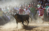 FIESTAS DEL TORO ENMAROMADO DE BENAVENTE