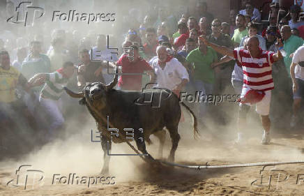 FIESTAS DEL TORO ENMAROMADO DE BENAVENTE