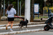 FRIO EM SAO PAULO
