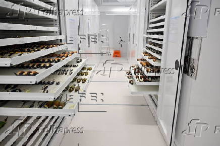 CSIRO facility in Australia safeguards 13 million biodiversity specimens