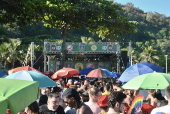 Desfile bloco do boi tolo no rio de janeiro