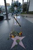 Flowers are kept on the star of band Beach Boys following musician Brian Wilson's death on the Hollywood Walk of Fame in Los Angeles