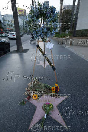 Flowers are kept on the star of band Beach Boys following musician Brian Wilson's death on the Hollywood Walk of Fame in Los Angeles