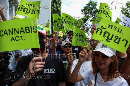 Activists of Writing Thailand?s Cannabis Future attend a protest to call for a responsible and well-regulated approach to cannabis and the urgent passage of an act, in Nonthaburi province