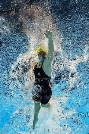World Aquatics Championships