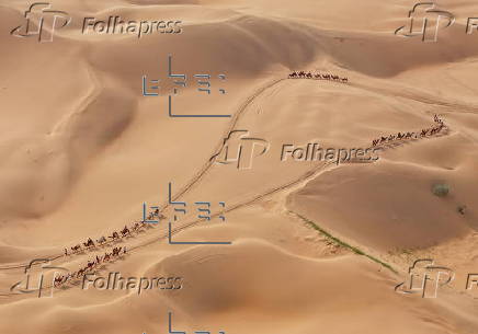 Kubuqi desert in Erdos City, Mongolia