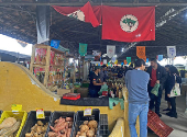 Feira da Reforma Agrária reúne visitantes no Parque da Água Branca