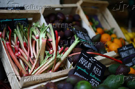 Rhubarbs are displayed for sale on a market gardener's stall on Rue des Martyrs in Paris