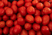 U.S. duties on Mexican tomato imports