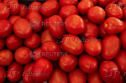 U.S. duties on Mexican tomato imports