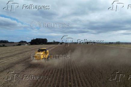Soybean harvest in Rio Grande do Sul state, Brazil