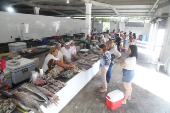 Venda de peixes