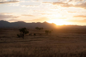 The sun sets, at the San Rafael Valley
