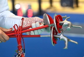 European Fencing Championships in Genoa