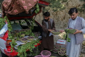 Mulberry seasonal fruit sales